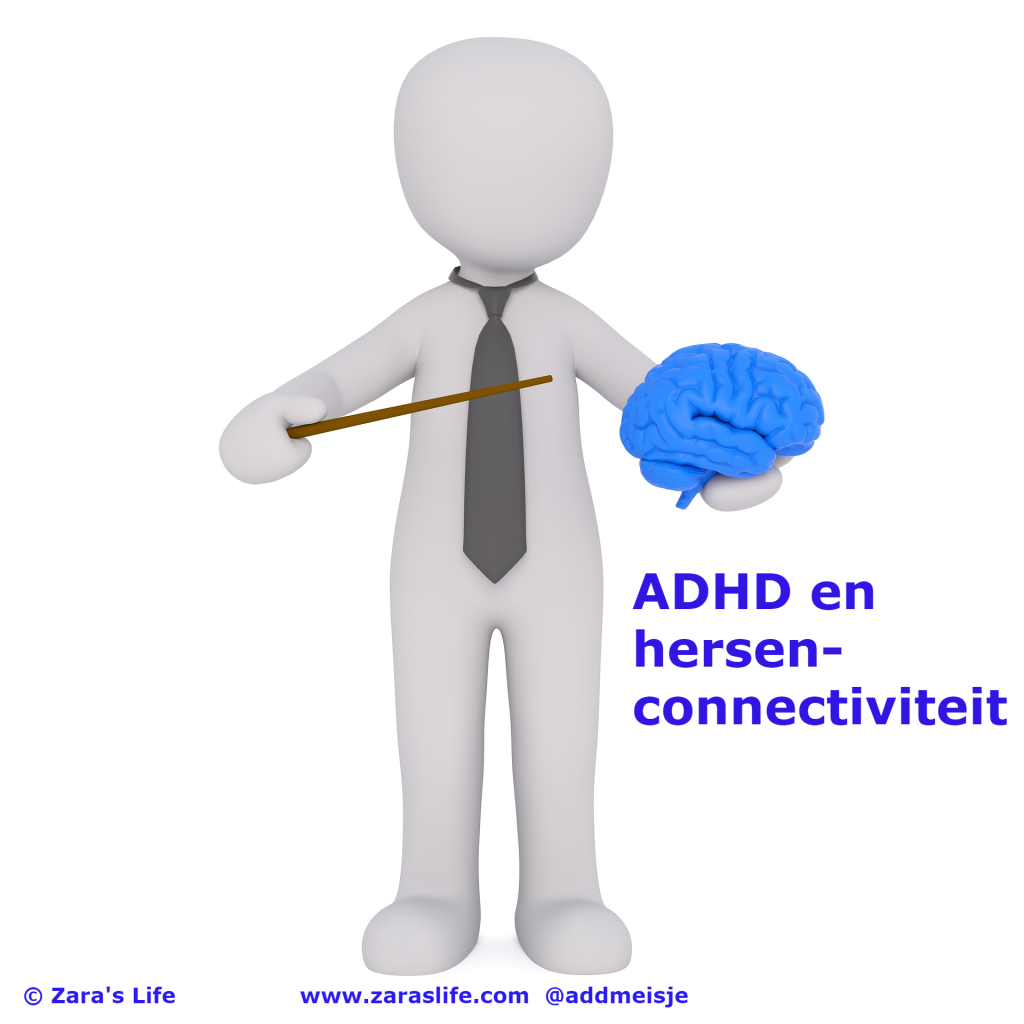 ADHD en hersenconnectiviteit